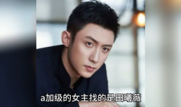 吃瓜八卦娱乐圈白鹿,瓜田里的明星风云录